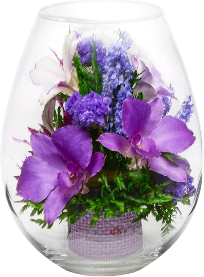 Fiora Flower Elegant Orchid Arrangement in Glass Vase | Preserved Real Orchids Lasting 5 Years | Ideal for Home Decor or Romantic Gift