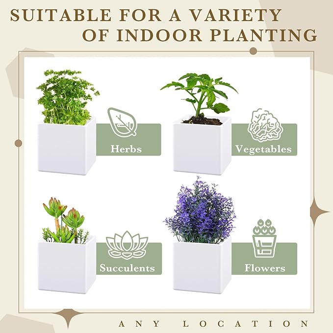 6 Pcs Herb Garden Planter Set Herb Garden Kit Indoor Plastic Plant Pots with Drainage and Saucer Succulent Cactus Vegetable Window Boxes Planter for Windowsill Indoor Outdoor Pots