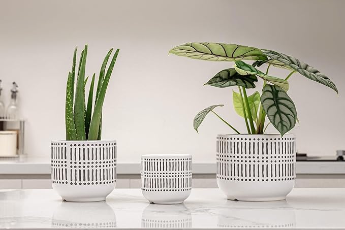 Docrin Plant Pots Ceramic: 6.5+5.3+4 Inch Flower Pots with Drainage Holes for Plants, Modern Flower Pots for Home and Office, Indoor-Outdoor - Set of 3/White and Black