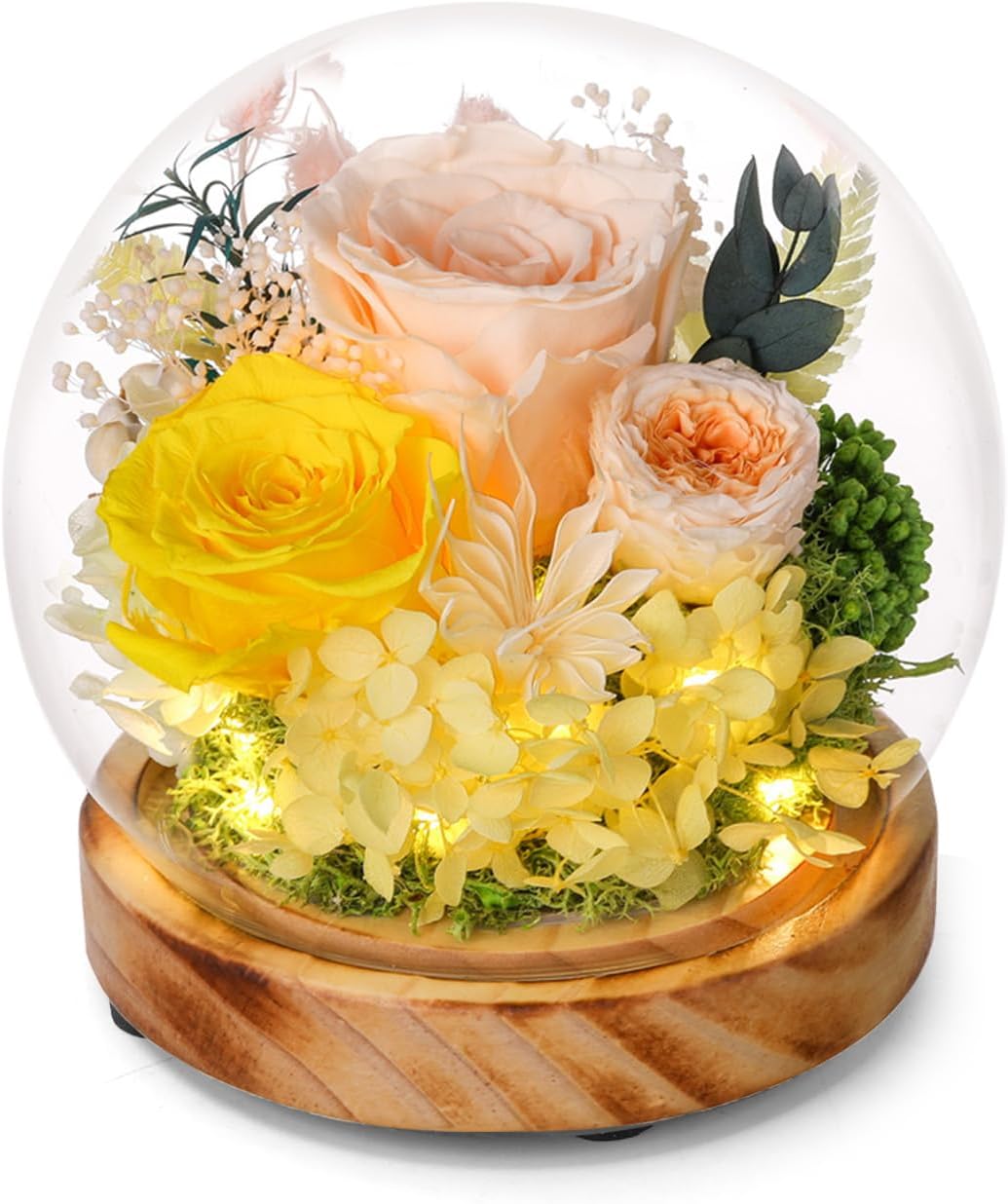 Long-Lasting Real Flowers,Preserved Roses with Hydrangea and LED Lights for Anniversary,Christmas,Birthday Present for Mom Grandma Wife Used as for Occasions(Champagne Rose)