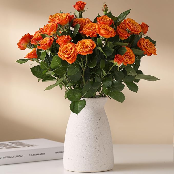 hjn White Flower Vase- Ceramic Vase for Decor, White vase for Flowers, Modern Vases for Living Room/Home Decor Accents/Entryway/Mantel/Bookshel-Frosted White