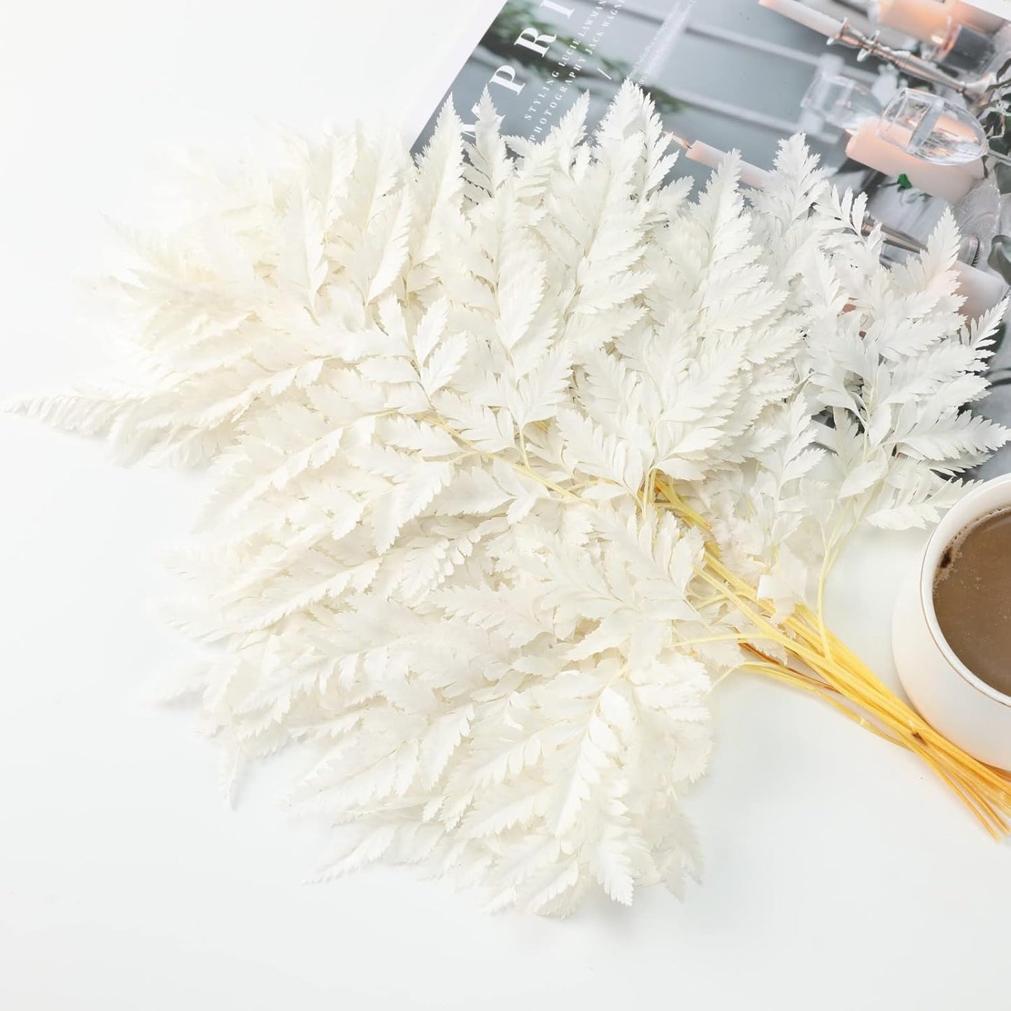 Fern Preserved White Ferns, 10 PCS Dried Boston Fern with Stems, 15'' Real Leaves for Dried Flowers Arrangements Wedding Garland Bouquets Home Party Centerpiece Table Decorations Vase Filler