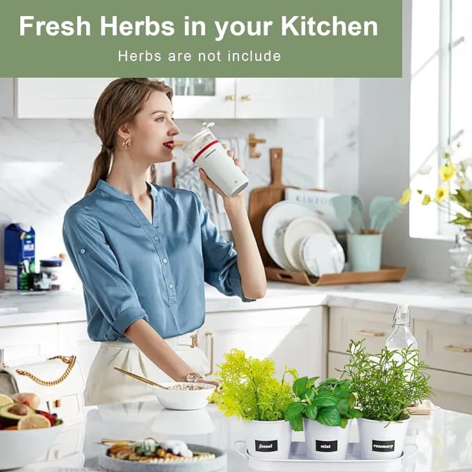 4" Herb Garden Planter Kit, Indoor Herb Planters with Tray, Set of 3 Metal Windowsill Pots for Flower Plants with Drainage Hole, Customizable Labels & Marker Pen, White