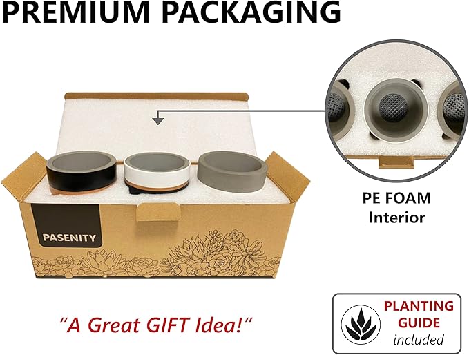 PASENITY Hand Painted Indoor Plant Pots, Set of 3 Modern Cement Succulent Pots with Drainage, Best Planters for Cactus, Herbs, Great Office & Home Gift Idea (Plants NOT Included), 3.5 Inch