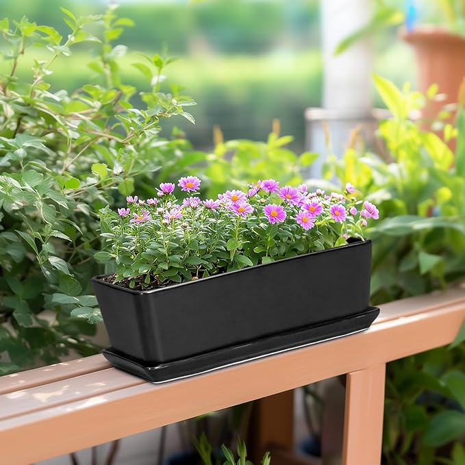 SQOWL Rectangle Planter - 10 Inch Ceramic Plant Pots with Drainage Hole and Saucer, Rectangular Succulent Planters for Indoor Plants, Flower Cactus Herb Pots Outdoor, Room Decor, Garden Gifts, Black