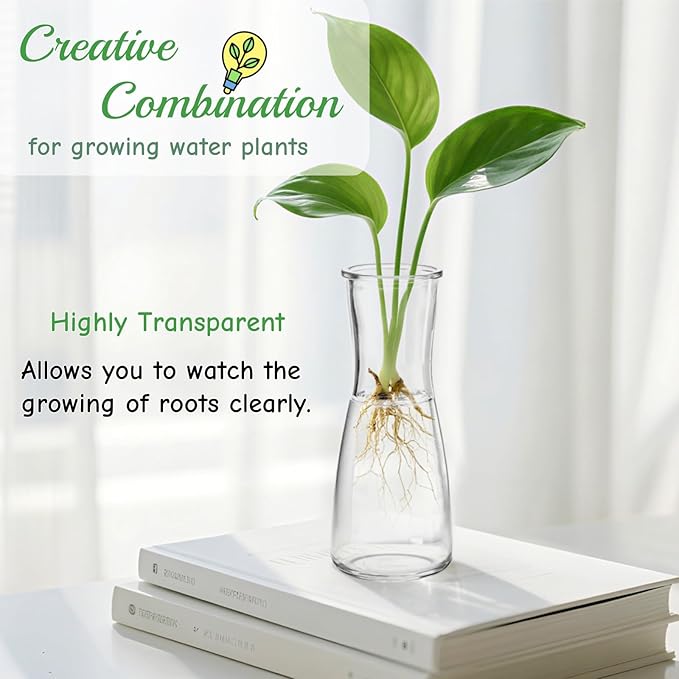 Set of 12 Glass Bud Vases, Clear Small Vases for Flowers Centerpieces, Minimalist Decorative Bulk Vases for Wedding, Birthday, Events, Dining Room Decor