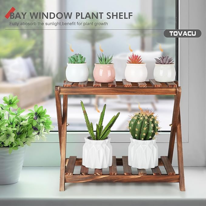 Small Plant Stand Indoor 2 Tier Table Top Flower Succulent Stand Desk Wood Plants Shelf Holder Windowsill Mini Cactus Stands Rack (X-2 Design)