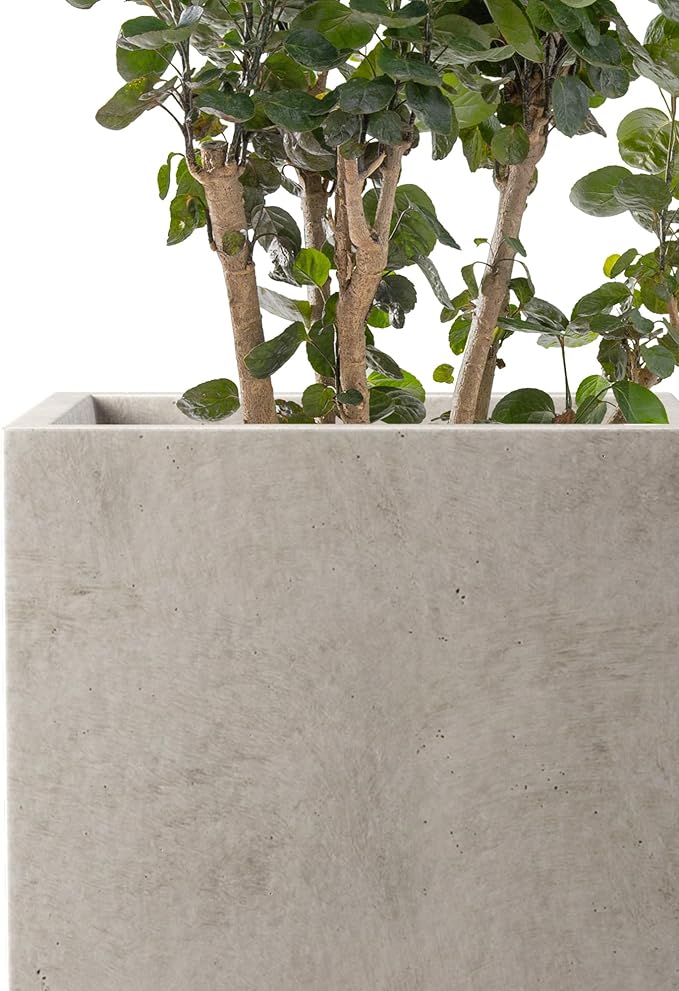 Kante 12.6" H Tall Rectangular Concrete Planters, Outdoor Indoor Lightweight Plant Pots with Drainage Hole and Rubber Plug, Modern Style for Home Garden Patio, Weathered Concrete
