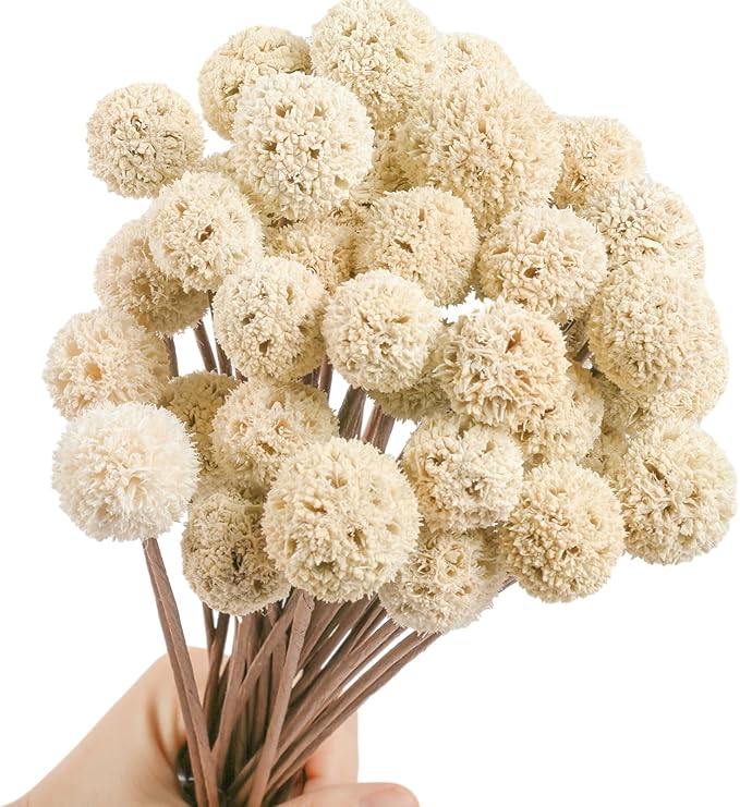 30 PCS Natural Dried Craspedia Billy Balls Flowers, 17” Dried White Flowers Buttons Bouquet for Vase Floral Arrangements Wedding Table Centerpieces Party DIY Home Decor, Christmas Tree Decoration