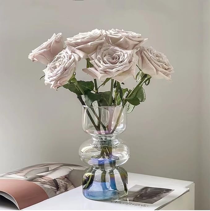 JSPYFITS Glass Hydroponic Flower Vase, 7 Inches Colored Glasses Bubble Vase for Flower, Three-Layer Glass Funky Vases for Home/Office/Weddings/Party Table Flowers Decor (Iridescent Clear)