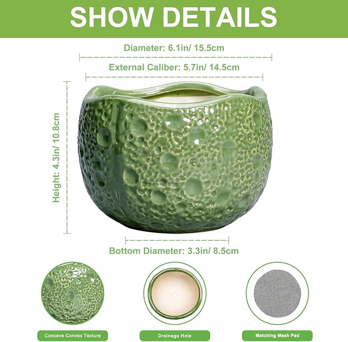 6 Inch Plant Pot - Orchid Pot with Drainage Hole, Ceramic Planter for Indoor Outdoor, Decorative Plant Pots, Modern Round Unique Flower Pots, Living Room Decor, Gifts for Women Men, Green