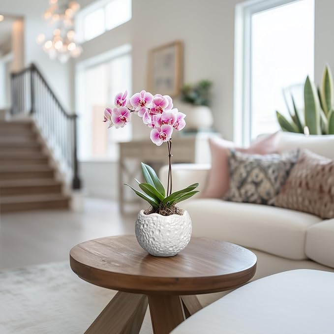 4 inch Plant Pots - Ceramic Pots for Plants with Drainage Hole, Small Planter for Indoor Outdoor, Unique Succulent Pot, Decorative Modern Round Planter, Desk Decor, Plant Lover Gifts, White