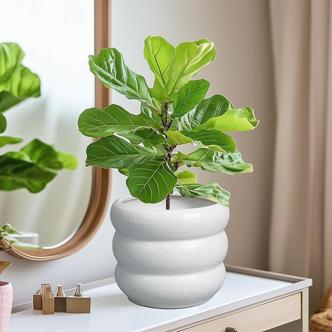 SQOWL Ceramic Planter for Indoor Plants - 8 Inch Plant Pot with Drainage Hole Outdoor Flower Pot Modern Round Planter Medium Plant Pot for Garden Office Decor White