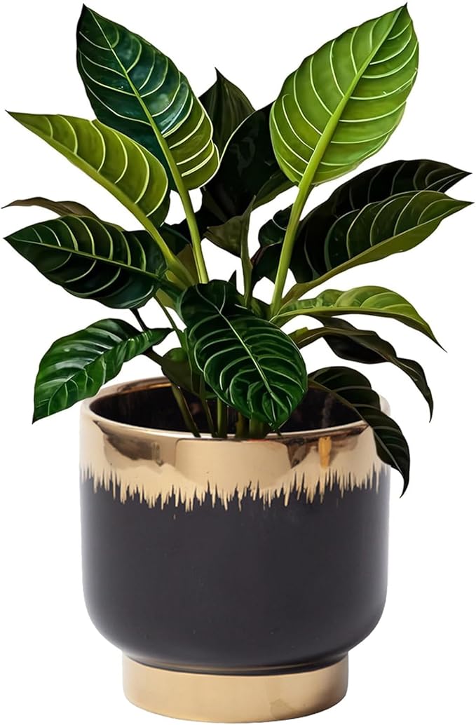 LB Black Gold Ceramic Planters for Indoor Plants, Succulent Plant Pots Ceramic Plant Pot, Modern Flower Pots for Living Room Office Home Decor, Round Flower Pot of 4.3 Inch(Plant Not Included)