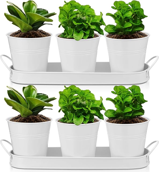 Hicarer 2 Sets Herb Planter with Tray Metal Herb Garden Planter with Drainage Farmhouse Windowsill Pots for Indoor Plants Flower Succulent Outdoor Kitchen Apartment Balcony Window (White)