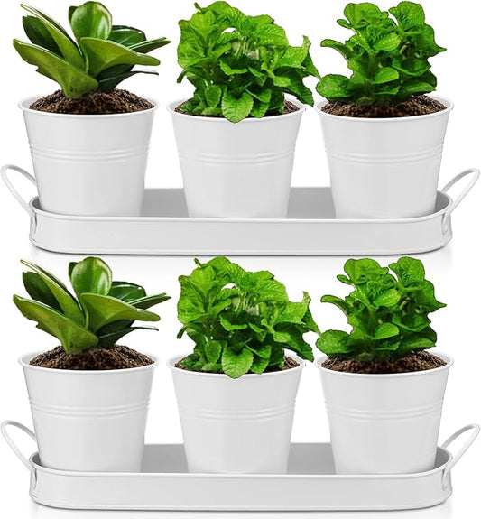 Hicarer 2 Sets Herb Planter with Tray Metal Herb Garden Planter with Drainage Farmhouse Windowsill Pots for Indoor Plants Flower Succulent Outdoor Kitchen Apartment Balcony Window (White)