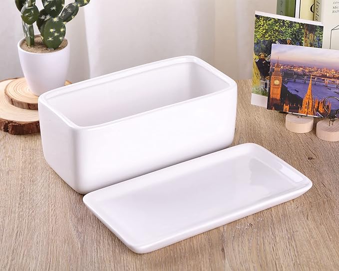 VanEnjoy 10 Inch White Rectangle Ceramic Succulent Planter Pot Decorative Cactus Plant Pot Flower Container with Ceramic Tray