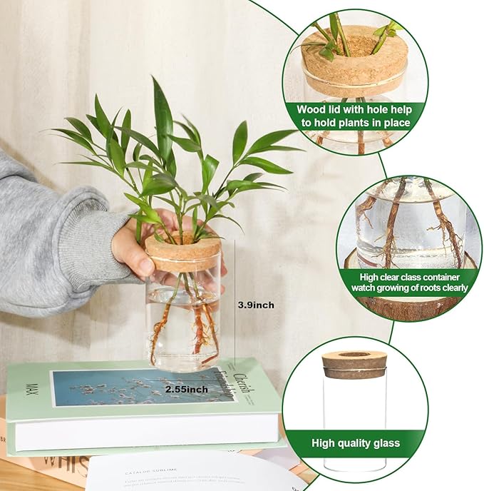 Separated Desktop Glass Flower Vases with Wooden Saucers - Ideal Plants Propagation Stations for Living Room, Bedroom Decoration,Home Decor (9)