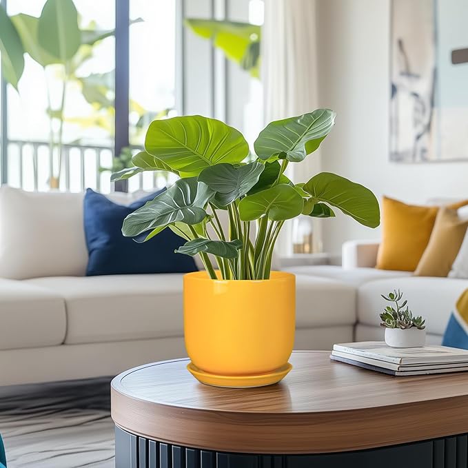 Indoor Plant Pot - 7 Inch Modern Round Ceramic Planter for Indoor Outdoor Plants with Drainage Hole and Saucer, Home Garden Office House Decor, Yellow