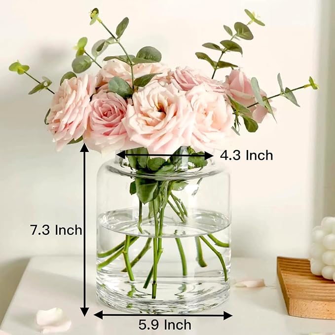 BLOFLO Clear Glass Vase, 7 Inch Large Glass Vase for Flowers, Modern Thick Glass Flower Vases for Centerpieces, Decorative Glass Cylinder Hydroponic Vase for Wedding, Home, Office (Clear, 7Inch)