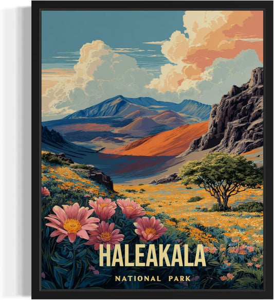 Haleakala National Park Art Print Poster, Vintage Retro Pop Art Travel Wall Art Bedroom Bathroom Living Room Decor 185 (Haleakala, 16 x 20 inches, Unframed)
