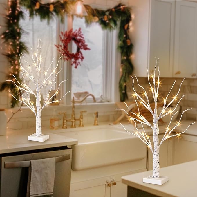 Vanthylit White Birch Tree with LED Lights - Set of 2, Tabletop Tree with Timer, Christmas Decorations Lighted Tree for Indoor Mantel Home Decor (2 FT, 24 LED)