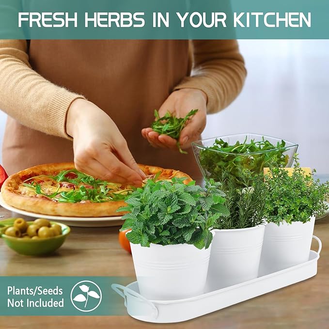 Indoor Herb Garden Set of 3 with Tray and 3 Types of Gardening Tools, Metal Plant Pots Herb Garden Planter Kit with Drainage for Plants (White)