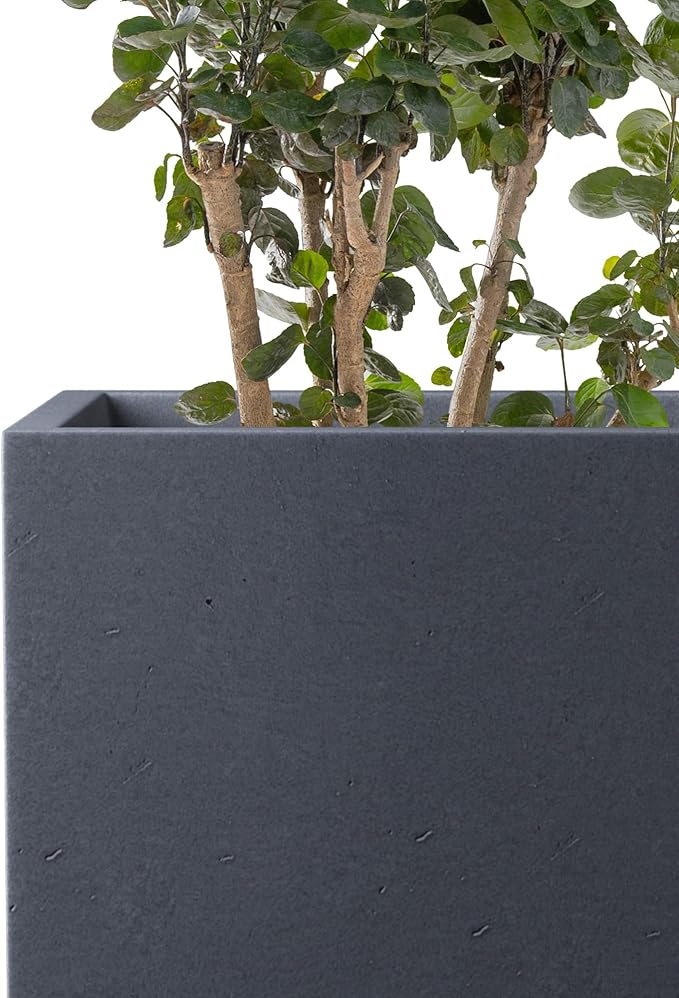 Kante 12.6" H Tall Rectangular Concrete Planters, Outdoor Indoor Lightweight Plant Pots with Drainage Hole and Rubber Plug, Modern Style for Home Garden Patio, Charcoal