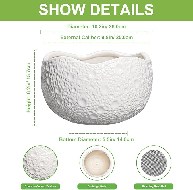 10 Inch Plant Pot - Ceramic Planter for Indoor Outdoor, Round Bonsai Pots, Decorative Flower Pots with Drainage Hole, Modern Unique Planters, House Decor, Home Gifts, White