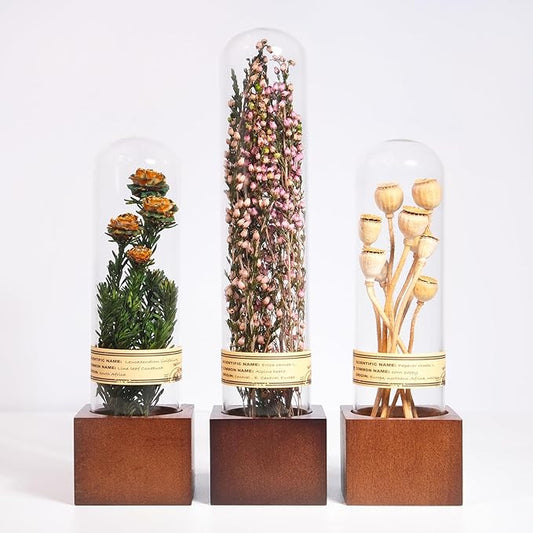 3Pcs Dried Flowers Book Shelf Decor,Boho Shelf Decor,Small Plants Decor for Office Shelves,Natural Forest Green Plants Decor with Wooden Base,Rustic Farmhouse Decor,Unique Gifts for Women,Friends