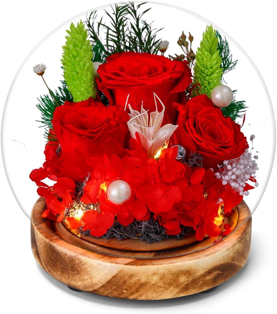 LED Preserved Real Rose Glass Dome Display, Red Roses with Pearl Accents, Wooden Base, Gift for Women Mothers Women Mom Grandma Girlfriend Wife