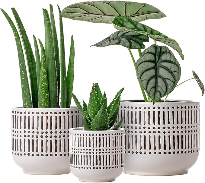 Docrin Plant Pots Ceramic: 6.5+5.3+4 Inch Flower Pots with Drainage Holes for Plants, Modern Flower Pots for Home and Office, Indoor-Outdoor - Set of 3/White and Black