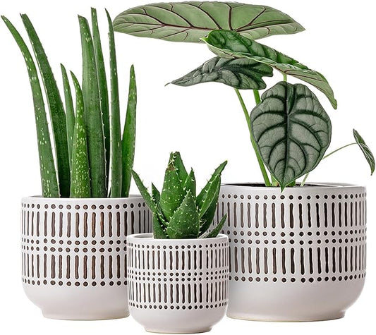 Docrin Plant Pots Ceramic: 6.5+5.3+4 Inch Flower Pots with Drainage Holes for Plants, Modern Flower Pots for Home and Office, Indoor-Outdoor - Set of 3/White and Black