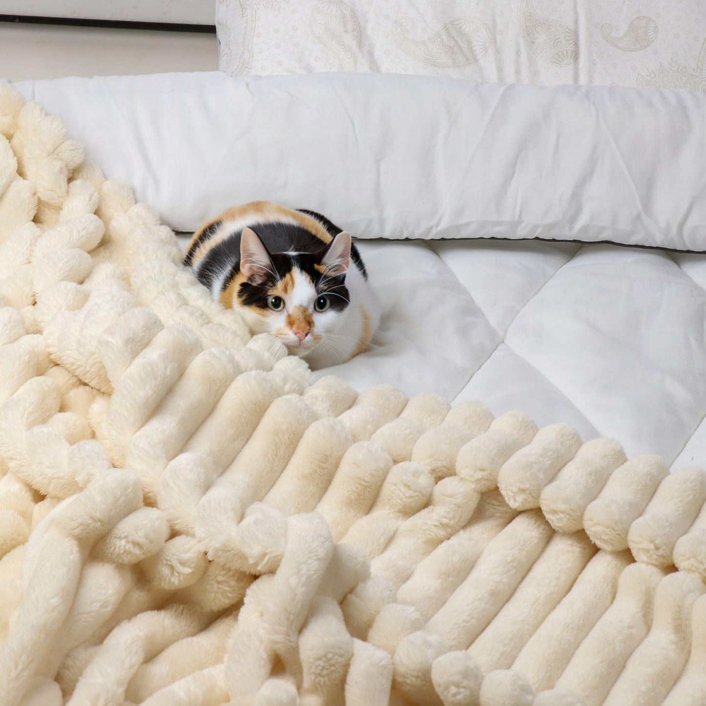 Daniks Fleece Throw Blanket for Bed and Sofa, 60x80, 330 GSM – 3D Ribbed Jacquard, Plush and Lightweight, Beige