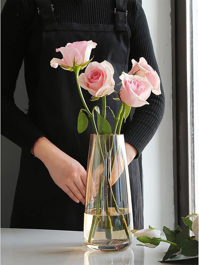 FANTESTICRYAN Modern Glass Vase Irised Crystal Clear Glass Vase for Home Office Decor (Crystal Amber)