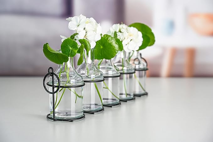 5pc Glass Flower Vase with Metal Holder, Best Vases for Flowers, Set for Home Decor, Wedding Decorations, Table Decor, Kitchen, Bathroom, Bedroom, Shelf Decor, Best Modern Vase for Flower Arrangement