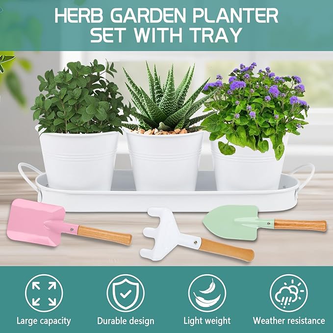 Indoor Herb Garden Set of 3 with Tray and 3 Types of Gardening Tools, Metal Plant Pots Herb Garden Planter Kit with Drainage for Plants (White)