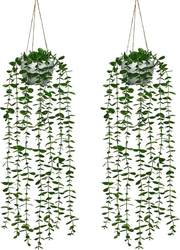 Dremisland Fake Hanging Plants with Pots 2Pack Faux Hanging Basket Plant Macrame Plant Hanger with Fake Vines Faux Hanging Planter for Wall Ceiling Home Bedroom Indoor Decor (Eucalyptus-2PCS)