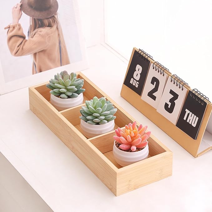 Tiita Artificial Faux Succulents in Pots Fake Plants Ceramic Arrangement Planter for Women Desk Small Mini Tiny Decoration for Home Office Desk Window