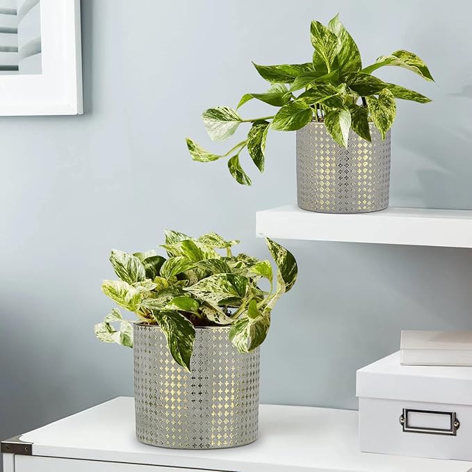Grey Ceramic Plants Pot 5.3 + 6.4 Inch Gold Square Pots Set of 2 for for Indoor Outdoor Succulent Plants or Flowers Gold and Grey