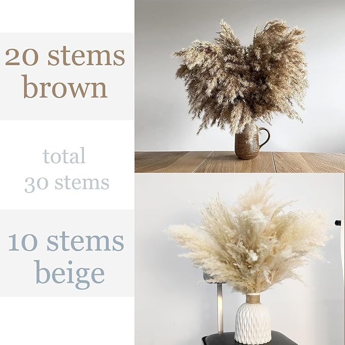 30 Stems Home Decor - Natural Dried Pampas, Brown & Beige Pompas Grass, Dry Small Pampas Bulk for Living Room Table Decor, Boho Decor,Party Wedding Decor, Gift(17.7 inch, 20 Brown & 10 Female Pampas)