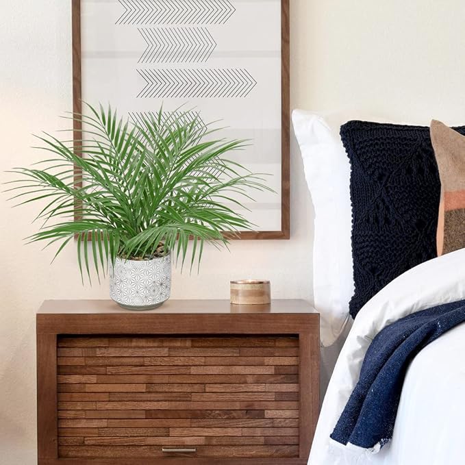 Hollyone Large Artificial Potted Plants Fake Palm Plants 16" Faux Tropical Palm Plant Tree in Ceramic Pots Bohemian for Home Room Office House Indoor Decoration