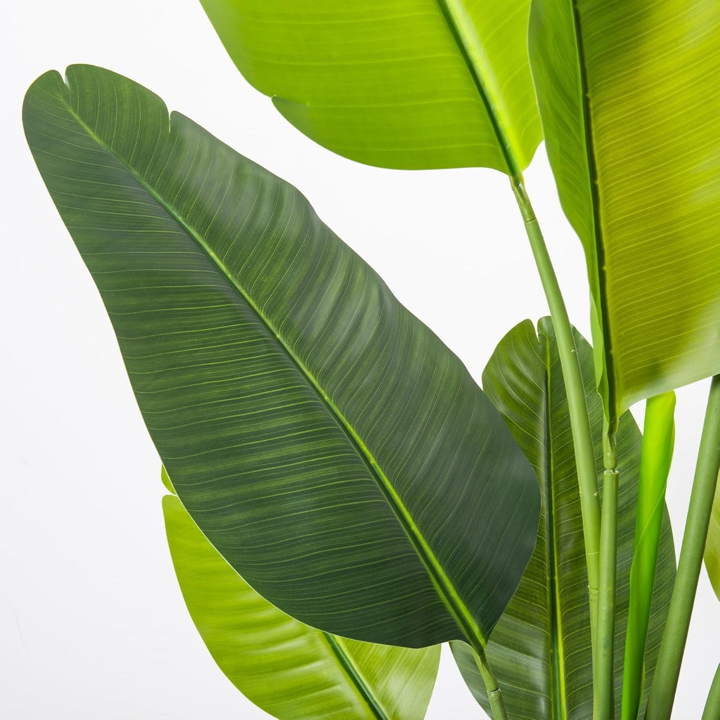 Bird of Paradise Artificial Plant 5FT, Faux Tropical Palm Tree with White Tall Planter, Large Fake Plants in Pot - Artificial Tree for Home Office Living Room Decor Indoor