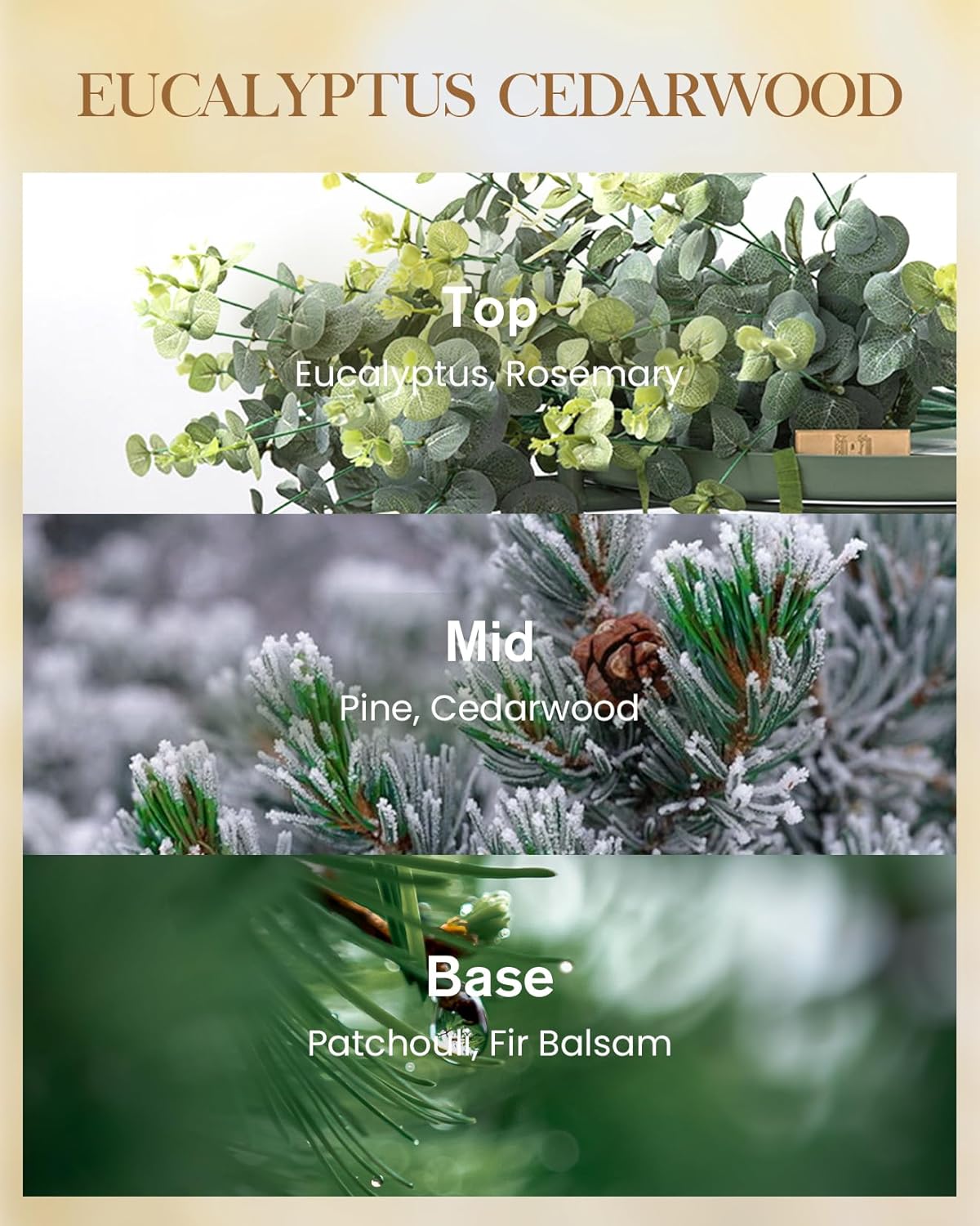 M&SENSE Eucalyptus Cedarwood Scented Natural Soy Wax Candle, 14.1oz 60 Hours Long Lasting Slow Burning, Aromatherapy Candle for Stress Relief Home Decor