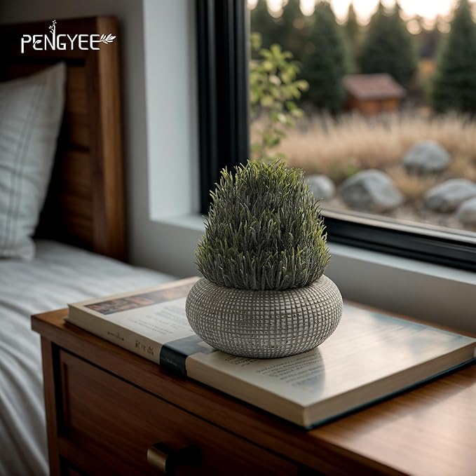 2Pack Small Fake Plants, 6.1/5.7 Inch Artificial Plants Indoor in Cement Planter, Small Faux Plants Indoor for Room Bathroom Bedroom Farmhouse Kitchen Office Home Decor