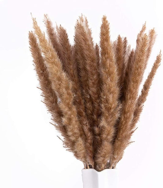 17" Pampas Grass, Uieke 30pcs Natural Dried Artificial Flowers Arrangements Large Reed Plumes Long for Home Wedding Party Decoration Wreath Vase Boho Decor Brown