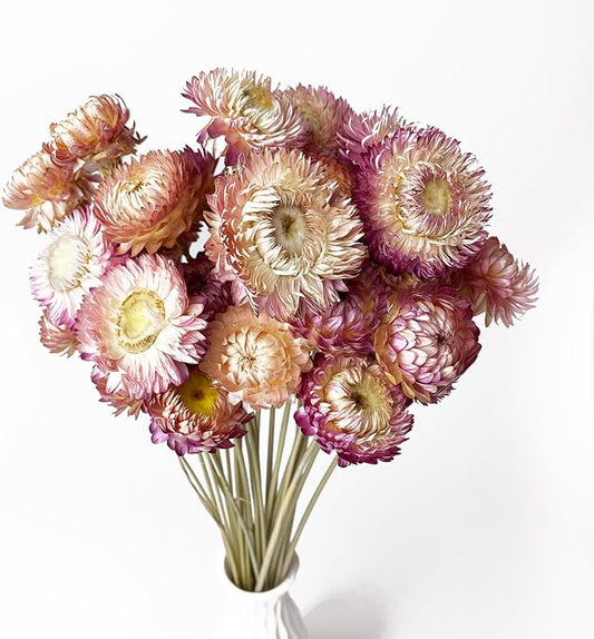 100% Natural Daisy Flowers, Dried Flower Bouquets-30Pcs Pink Daisies Chrysanthemums, 17 Inch Arrangements for Vase, Home Decoration Photo Props Parties and Weddings-Daisy Pink