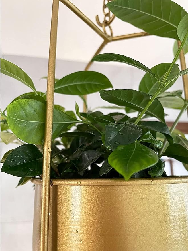 Metal Plant Hanger,Hanging Planters Indoor Hanging Flower Pots (Gold)…