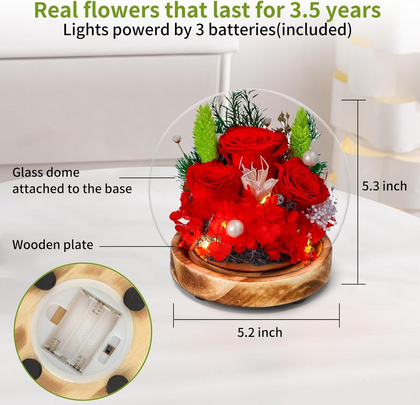 LED Preserved Real Rose Glass Dome Display, Red Roses with Pearl Accents, Wooden Base, Gift for Women Mothers Women Mom Grandma Girlfriend Wife