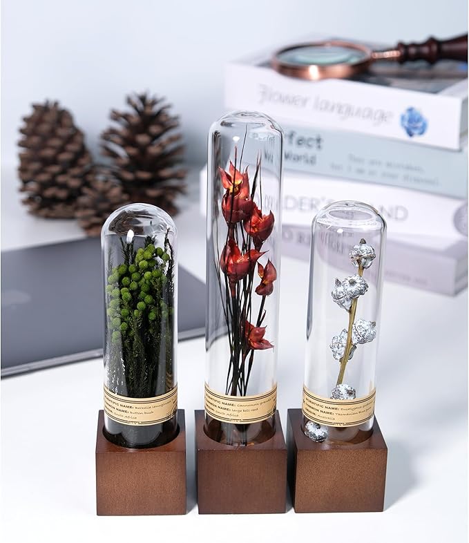 3Pcs Dried Flowers Book Shelf Decor,Boho Shelf Decor,Small Plants Decor for Office Shelves,Natural Forest Green Plants Decor with Wooden Base,Rustic Farmhouse Decor,Unique Gifts for Women,Friends